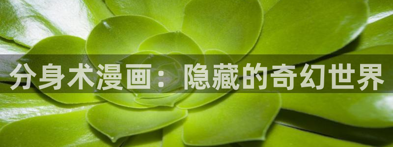 秘密教学香蕉漫画：分身术漫画：隐藏的奇幻世界