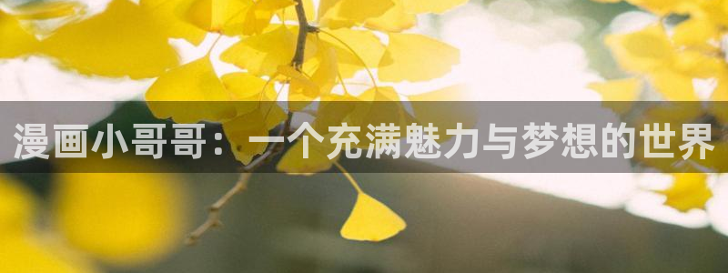 香蕉文化漫画书更新快：漫画小哥哥：一个充满魅力与梦想的世界