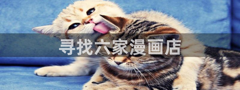 香蕉文化小说漫画更新都很快：寻找六家漫画店