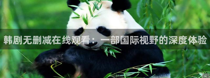 香蕉在线观看视频：韩剧无删减在线观看：一部国际视野的深度体验
