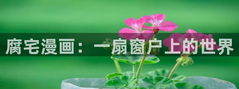香蕉漫画作品：腐宅漫画：一扇窗户上的世界