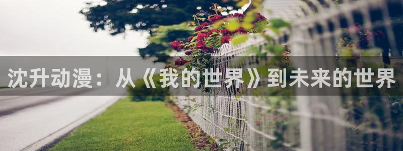 香蕉文化小说漫画：沈升动漫：从《我的世界》到未来的世界