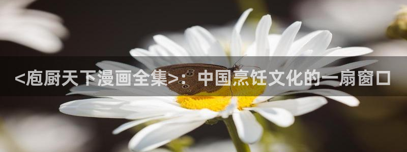 香蕉文化漫画小说：<庖厨天下漫画全集>：中国烹饪文化的一扇窗口